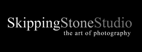 Skipping Stone Studio